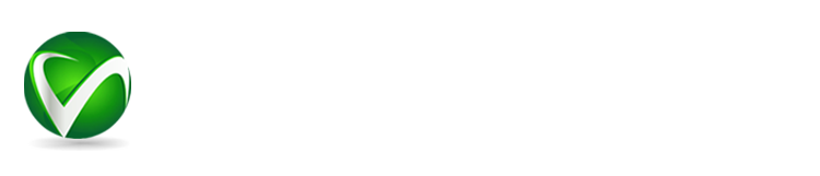 VERSION SOFTECH AND BUSINESS ACADEMY LLP