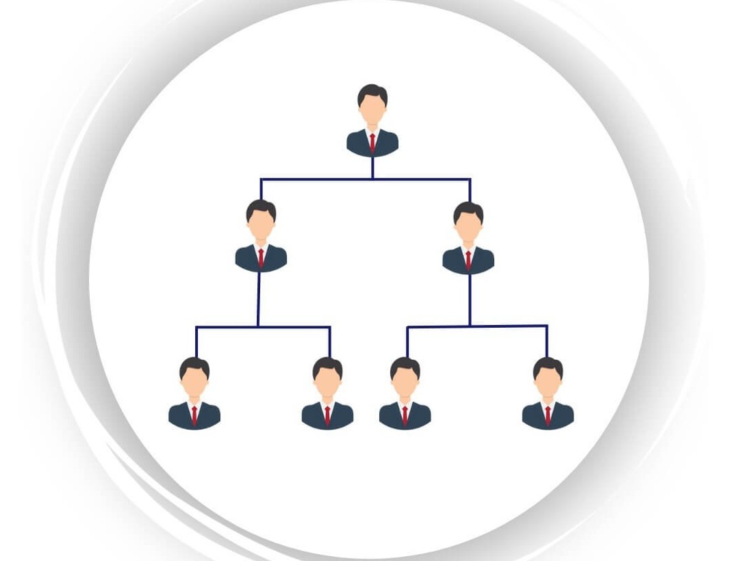 Binary Plan MLM Software – Smart, Scalable Marketing Solution